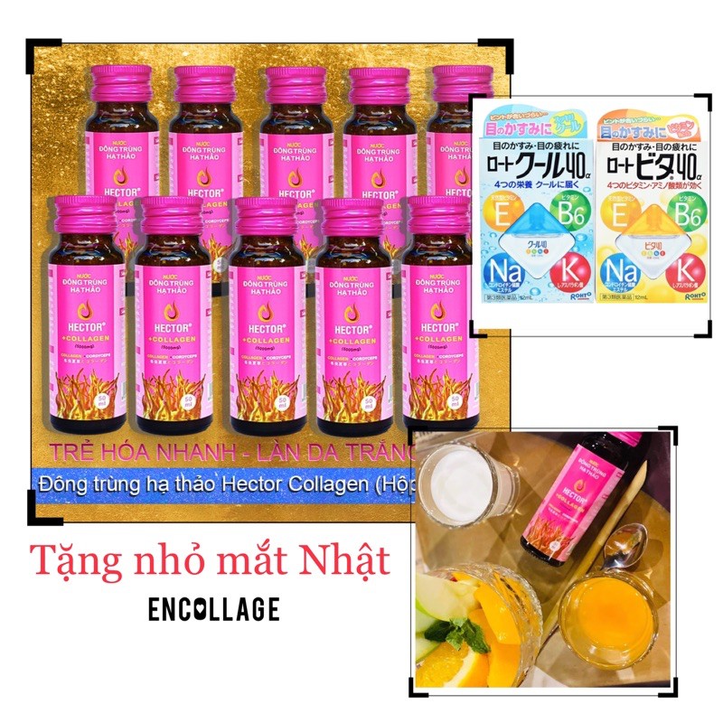 (Tặng nhỏ mắt rohto nhật)Nước uống collagen Hector Đông Trùng Hạ Thảo Hộp 10 Chai
