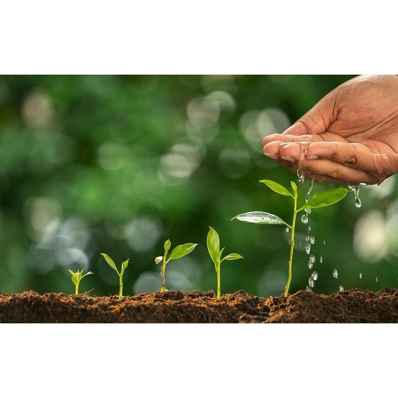 Phân bón hữu cơ organic dạng viên nén tròn
