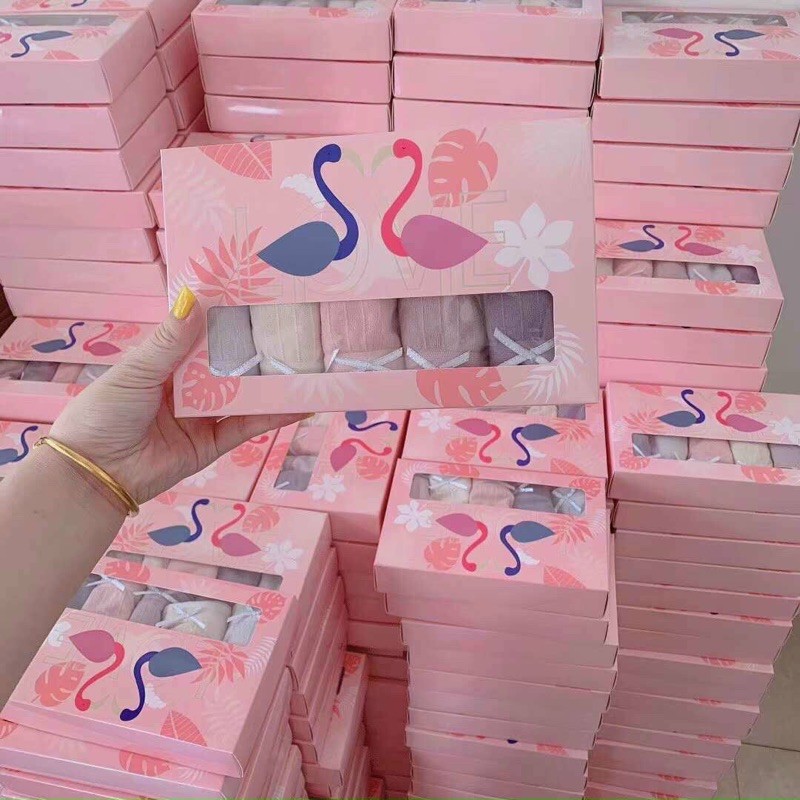  🌿⚡️Set 5 Quần Lót Nữ Thiên Nga 🌿⚡️Có Hộp Đi Kèm🌿⚡️ | BigBuy360 - bigbuy360.vn