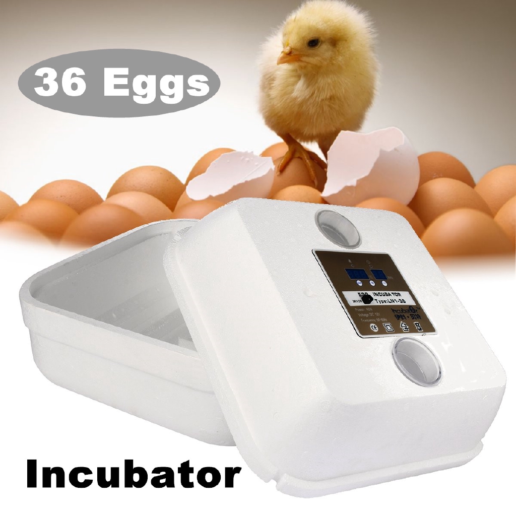 Máy ấp trứng gà kỹ thuật số thiết kế thông minh