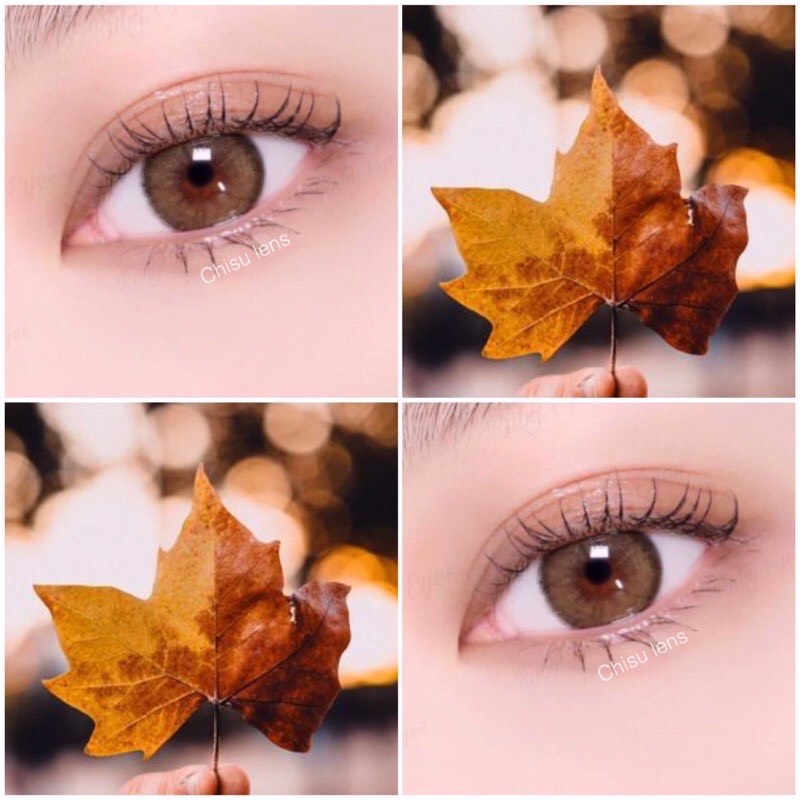 [Hot trend] Lens mắt nâu tây đủ độ cận 0-6 (dòng lens 1 năm sử dụng)