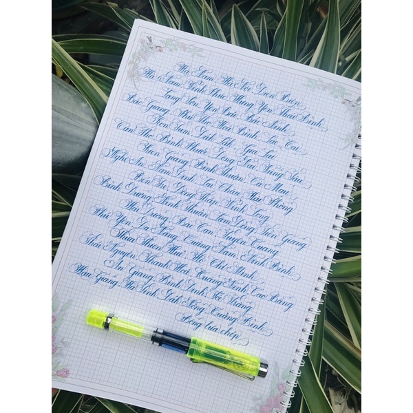 BÚT THI VIẾT CHỮ ĐẸP ❤️ LêTa mã 368