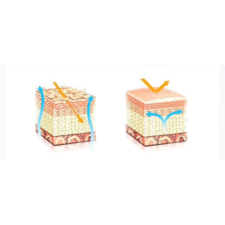 Tinh Chất Vitamin C đồng thời chứa chiết xuất cam thảo giúp Sáng Da Mờ Thâm mụn vào cải thiện sẹo thâm