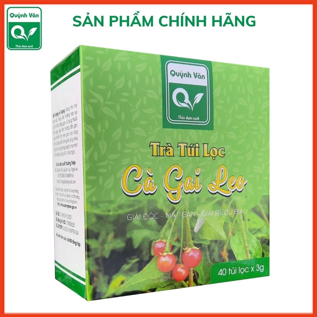 Trà cà gai leo, trà túi lọc cà gai leo Quỳnh Văn giúp giải độc - mát gan cho cả gia đình | BigBuy360 - bigbuy360.vn
