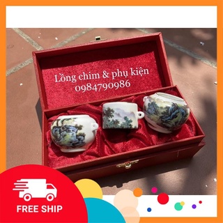 Cóng ăn lồng chào mào [ CÓNG TẦU ] hàng cao cấp giá cực tốt