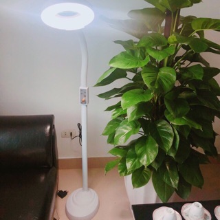Đèn led lup spa