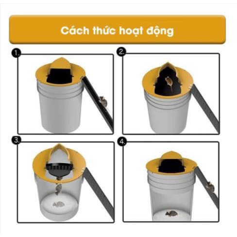 Dụng cụ bẫy chuột tự động, thông minh