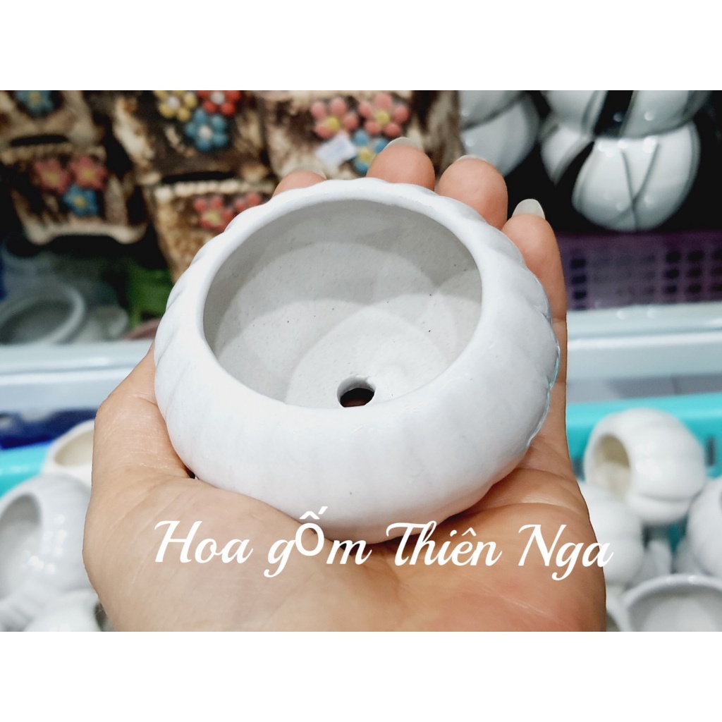 Chậu bí gốm sứ mini cao 4,5 cm