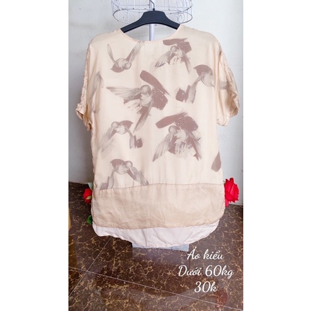 Áo vin màu kiểu