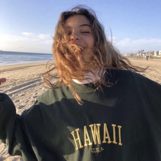 Áo nỉ HAWAII [Brandy Melville]