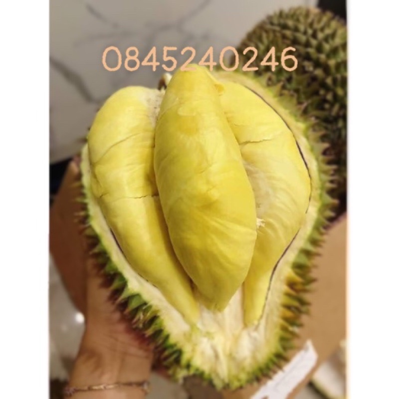 1kg Cơm Sầu Riêng Thái.