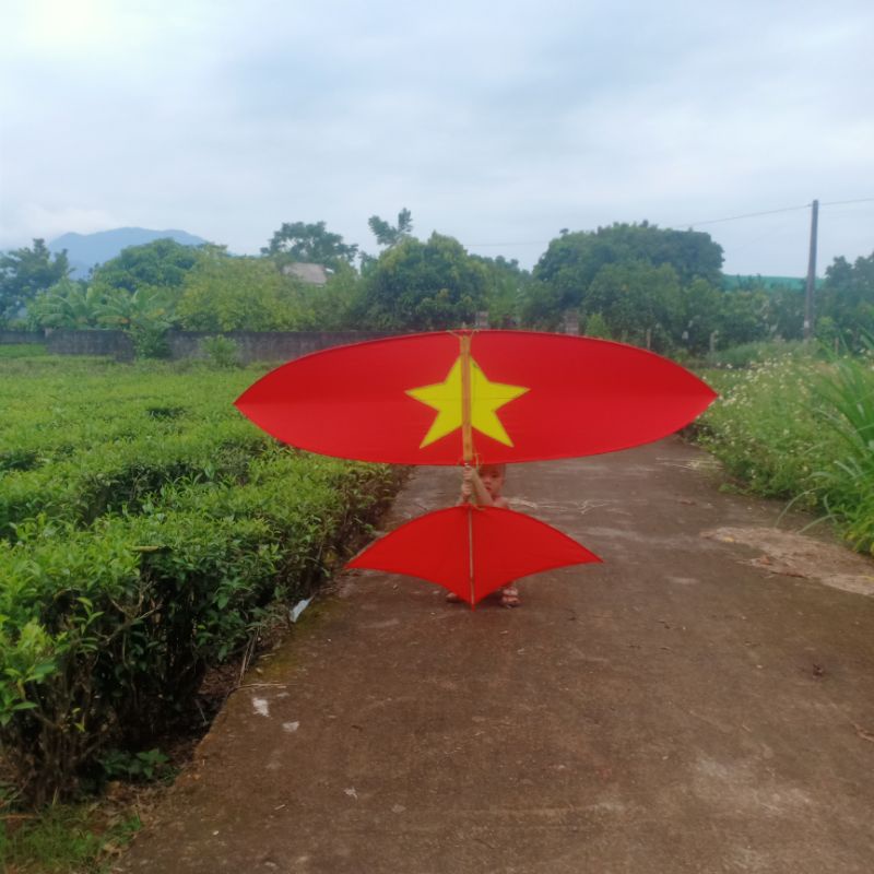 Diều sáo lắp ghép các màu DS12