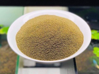 Cám Cá Bảy Màu Guppy Quận 8