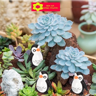CHIM CÁNH CỤT NHỎ - Phụ kiện làm tiểu cảnh sen đá, xương rồng, cây phong thuỷ văn phòng đẹp