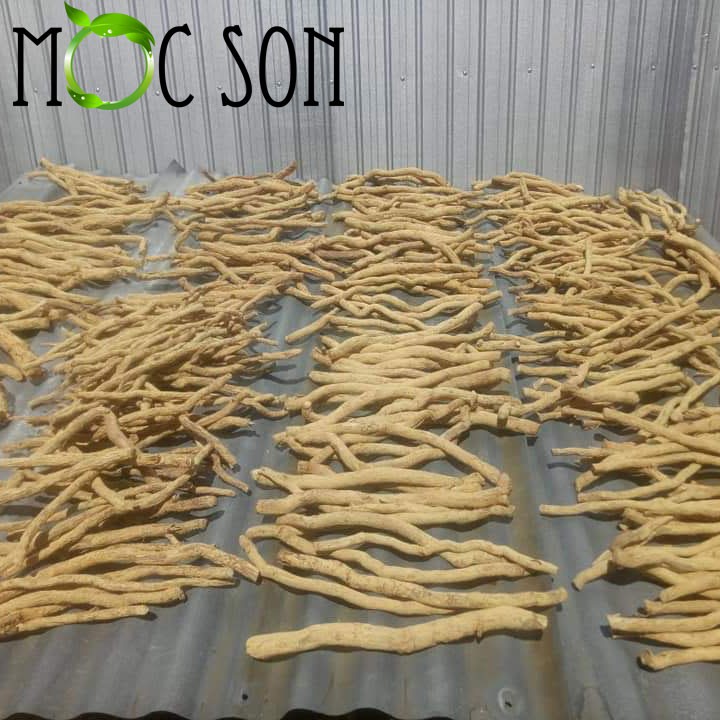 500G XÁO TAM PHÂN MỘC SƠN (HÀNG RỪNG)