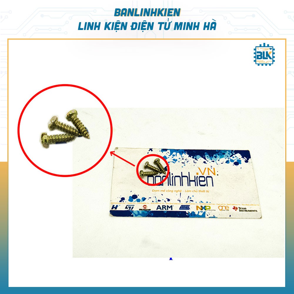 Vít Xoắn VX3T M3+10MM  (10 Chiếc)