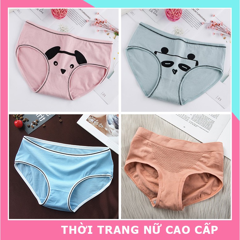 Quần lót nữ cotton kháng khuẩn xuất nhật , đồ lót nữ siêu đáng yêu nhiều mẫu cho chị em lựa chọn