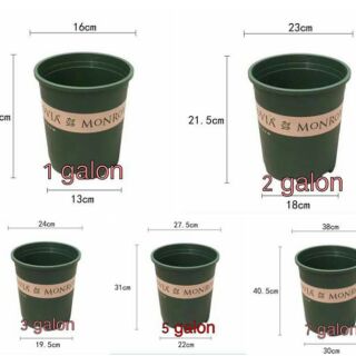 5 Chậu nhựa cao cấp monrovia