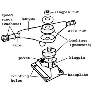 Phụ tùng ván trượt: Pivot