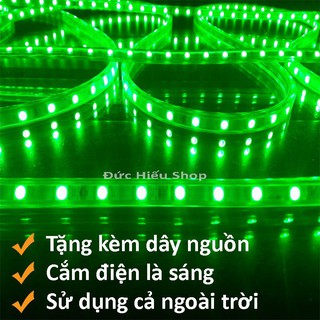 10m dây đèn led 2835- có nguồn không chớp