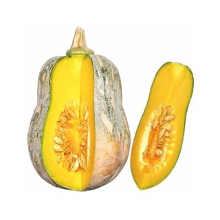 10 HẠT GIỐNG BÍ ĐỎ HẠT ĐẬU