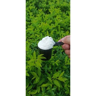 1KG Whey Protein Isolate 90% - Sữa tăng cơ LACTOPROT