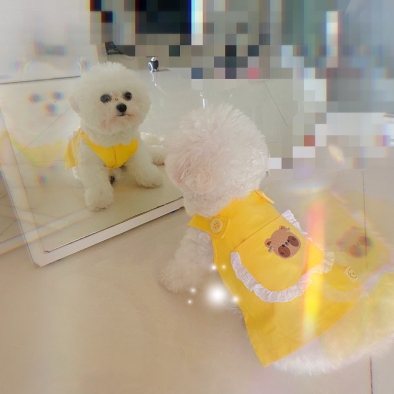 Yếm Gấu cao cấp cho thú cưng