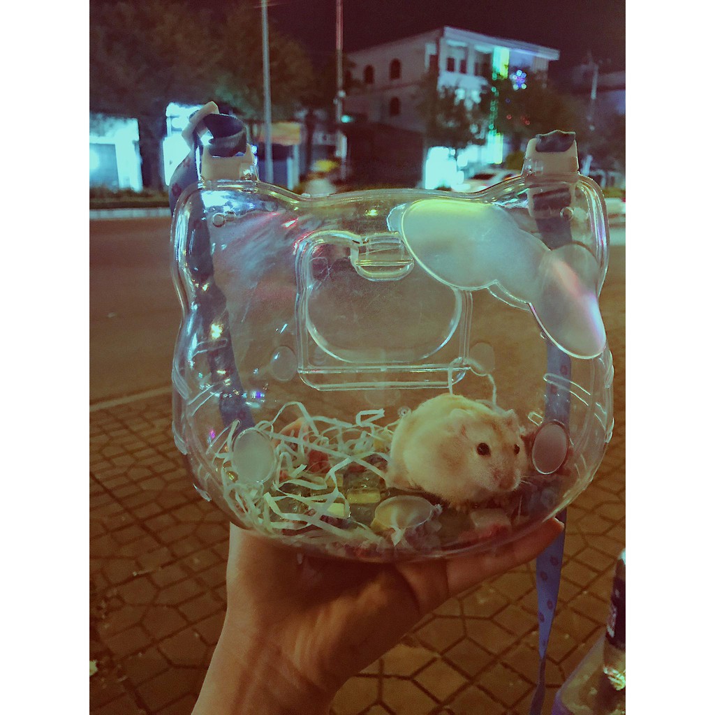 Lồng vận chuyển Hello Kitty