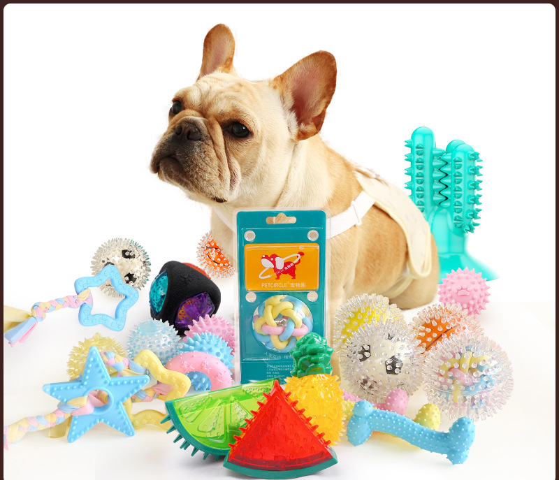 Đồ chơi nhai cắn sử dụng lâu bền chăm sóc răng miệng cho thú cưng 
