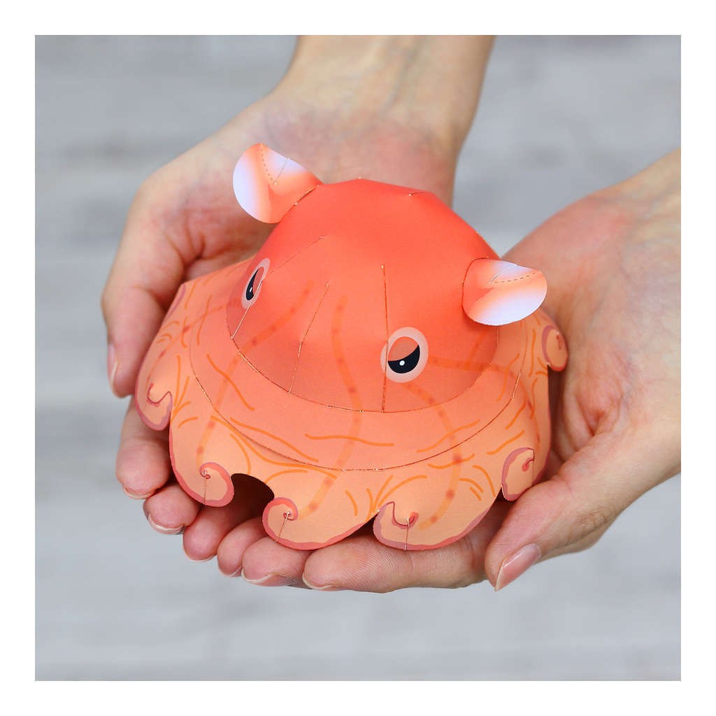 Mô hình giấy động vật Bạch tuộc Umbrella Octopus