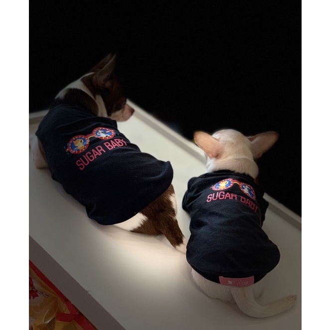 [Mẫu Thiết Kế] Áo Thú Cưng Chó Mèo In Hình Sugar Baby - Xiuxiu Giang