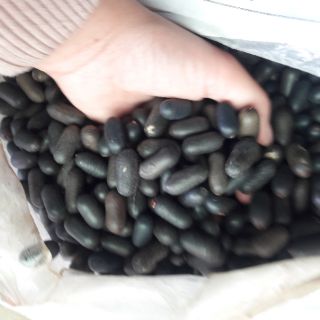 Lạc Rừng