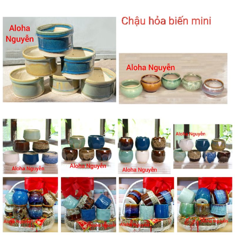 Chậu men hỏa biến trồng cây .sen đá .xương rồng.