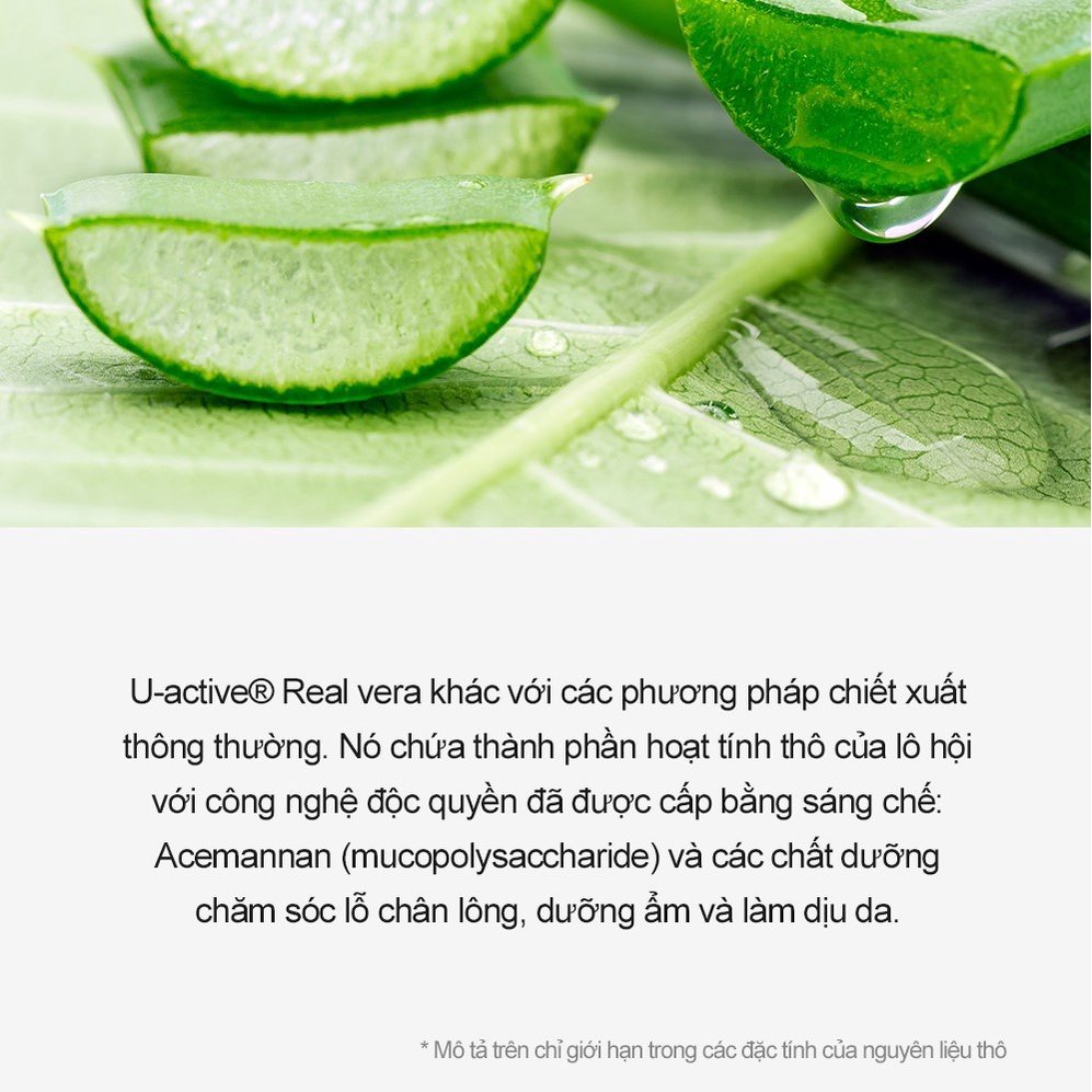 Tinh chất lô hội Derma Factory Real - Vera Pore Serum 30ml