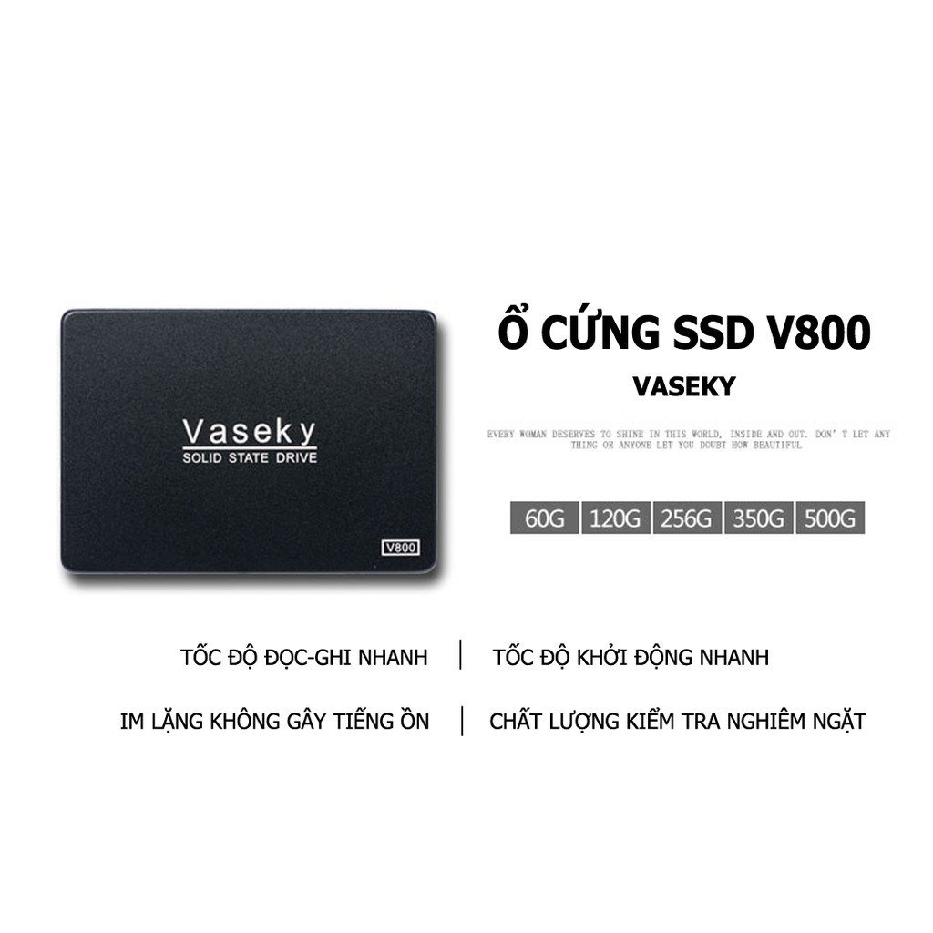 [Mã 157ELSALE hoàn 7% đơn 300K] Ổ cứng SSD Vaseky v800 120gb - Bảo hành 36 tháng