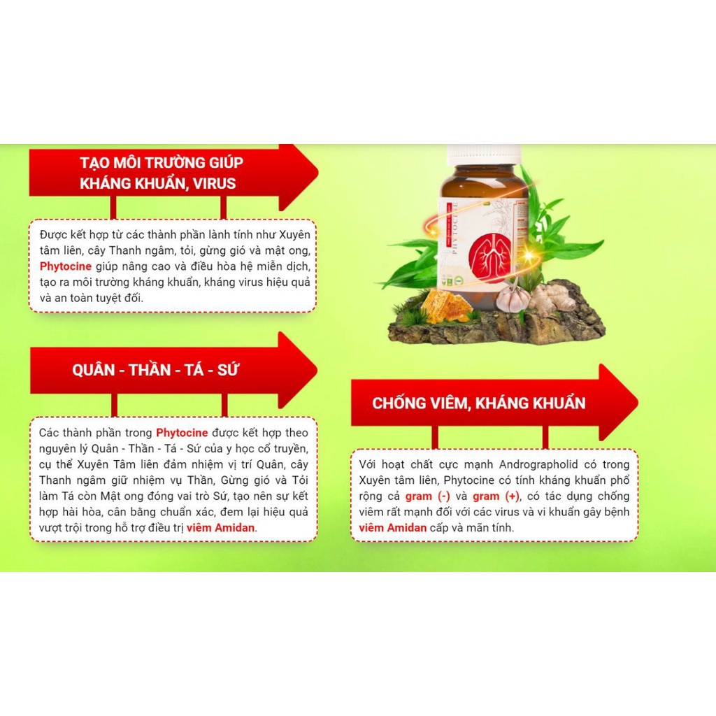 PHYTOCINE - Chiết xuất từ XUYÊN TÂM LIÊN