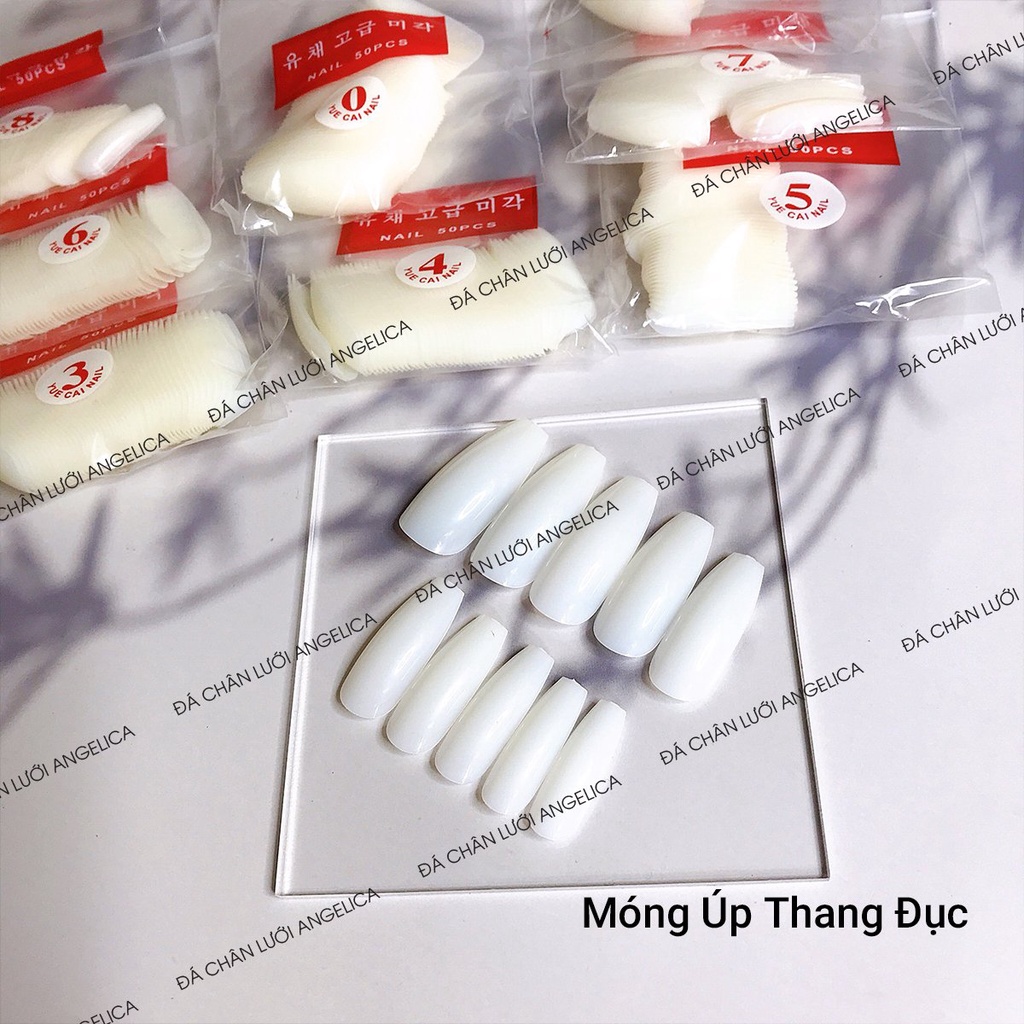 [DỤNG CỤ NAIL] Móng Úp Thang Trong, Đục, Nhám_Mã: MUTD_ANGELICA