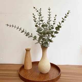 Lá cây bạch đàn decor trang trí.