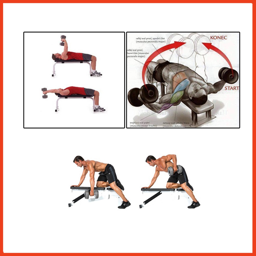 Ghế vớt  tạ Xuki