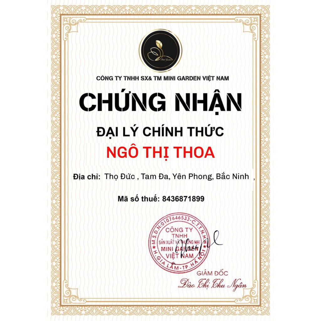 (Hàng Chính Hãng)(Son Tặng)son Kem Lì Roses Hộp Giấy Chính Hãng Date Mới | BigBuy360 - bigbuy360.vn