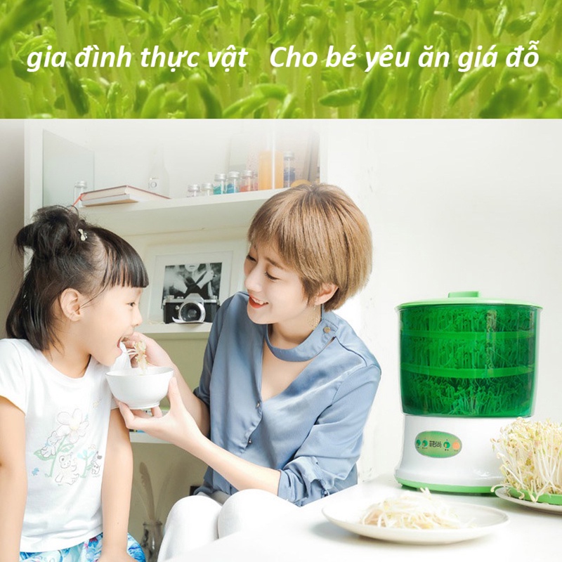 Máy làm giá đỗ gia đình Máy làm giá 3 tầng tự động Giá đỗ tươi có thể ăn trong 3-5 ngày