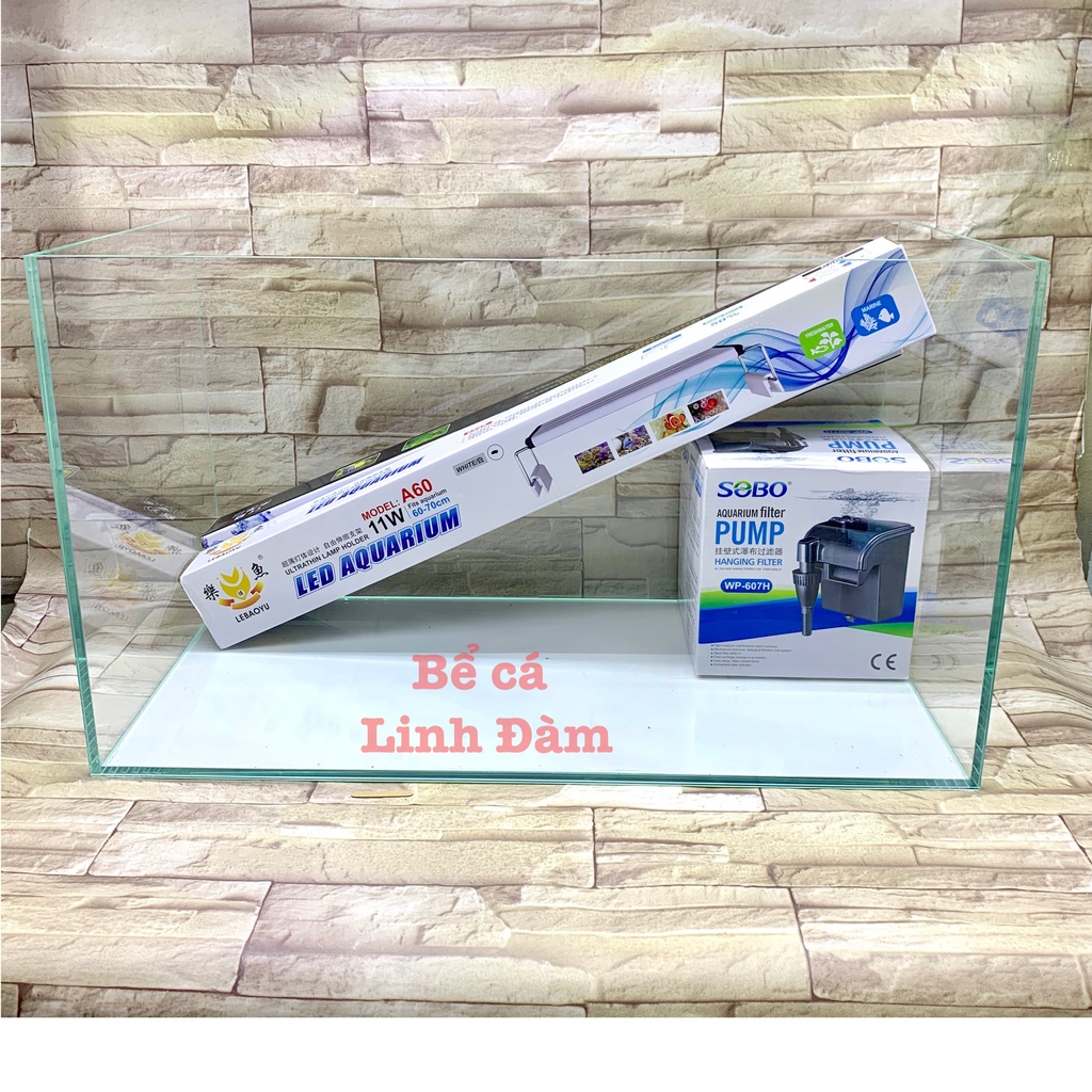 Bể cá kính siêu trong dài 60cm mài full vi tính, dán giấu keo đẹp - Bể cá cảnh thủy sinh để bàn