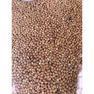 1kg kê vàng kê vàng