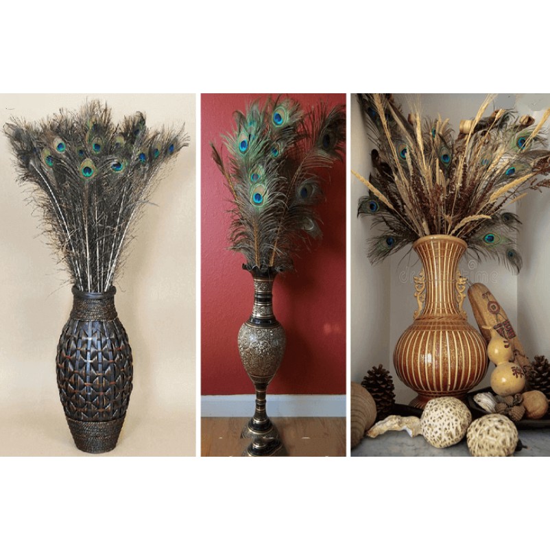 Lông công phong thủy LEVAN - Combo 10 lông công vượng khí, cầu tài, cầu lộc chiều dài 70-80cm | BigBuy360 - bigbuy360.vn