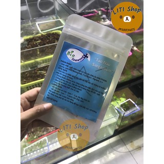 Tảo nâu kích màu
