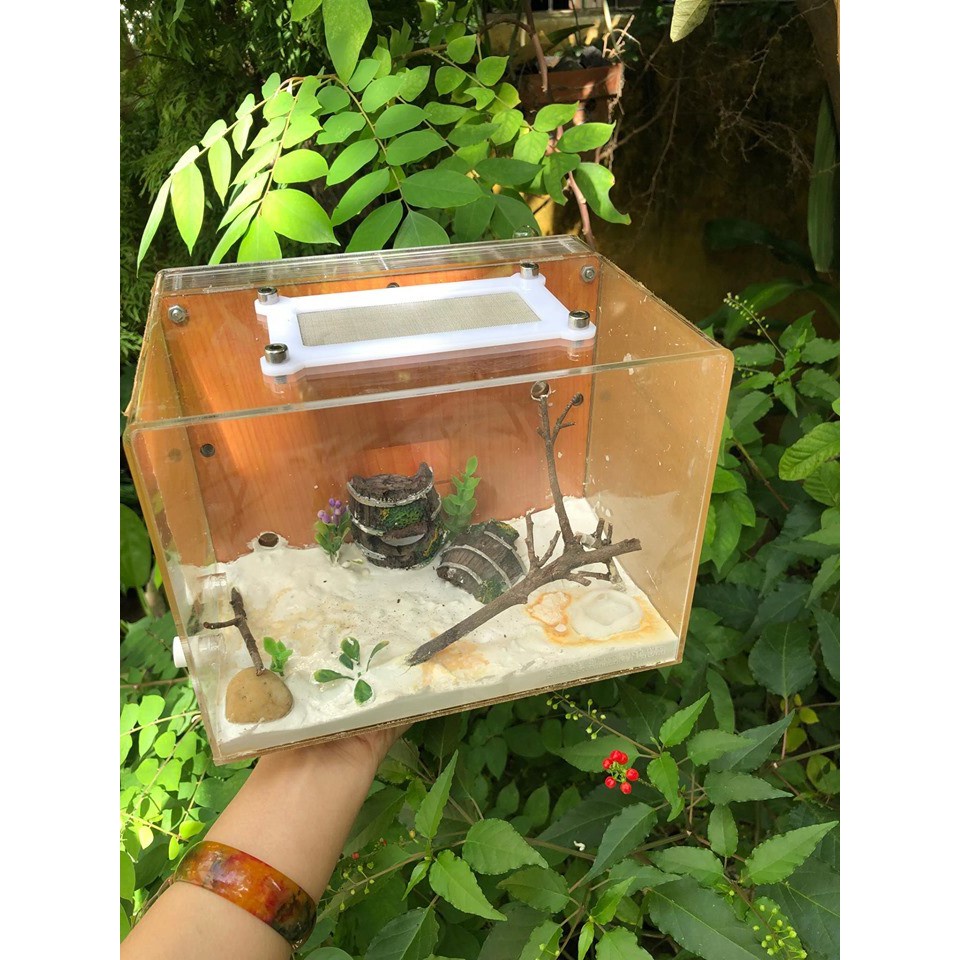 Hộp Nuôi Kiến 20-15-15cm / Formicarium