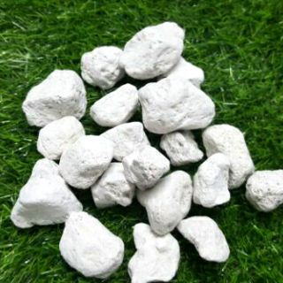 Đá lông vũ trắng tinh loại 1 ( 500g)