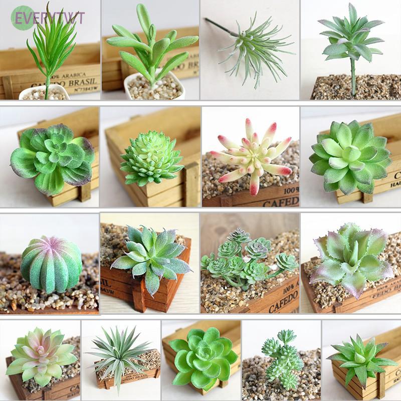 Sen đá nhân tạo nhiều kiểu dáng