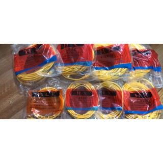 Dây mạng bấm sẵn 50m
