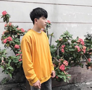 SWEATER VÀNG